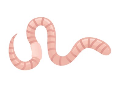 Solucan sürüngeni, beyaz arka planda izole edilmiş düz vektör çizimi..