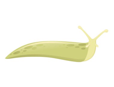 Yeşil sümüklü böcek hayvan tasarımı düz vektör çizimi beyaz arkaplanda izole.