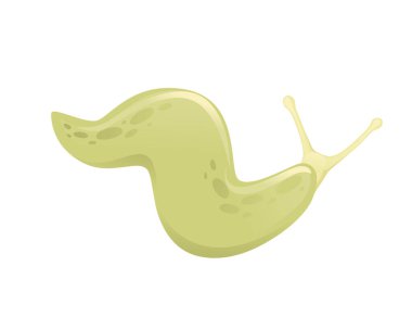 Yeşil sümüklü böcek hayvan tasarımı düz vektör çizimi beyaz arkaplanda izole.