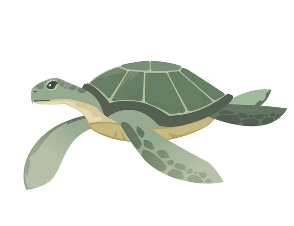 大型绿色海龟漫画可爱的动物设计海龟在水平面上游泳的图片 白色背景孤立 — 图库矢量图片