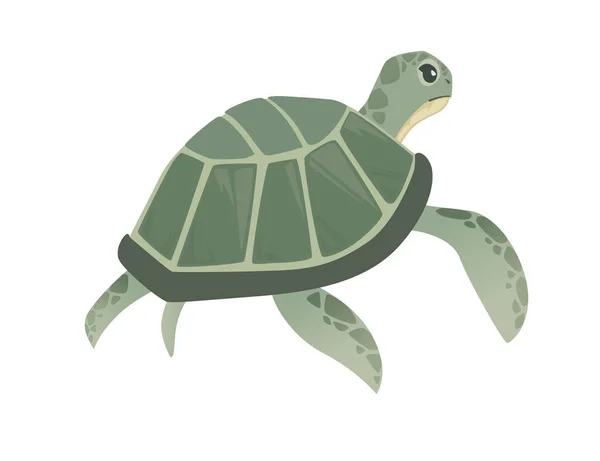 Tortuga Marina Verde Grande Dibujo Animado Lindo Animal Diseño Océano — Vector de stock