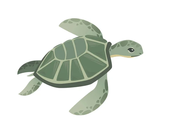Большая Зеленая Морская Черепаха Мультфильм Симпатичное Животное Дизайн Океанская Черепаха — стоковый вектор