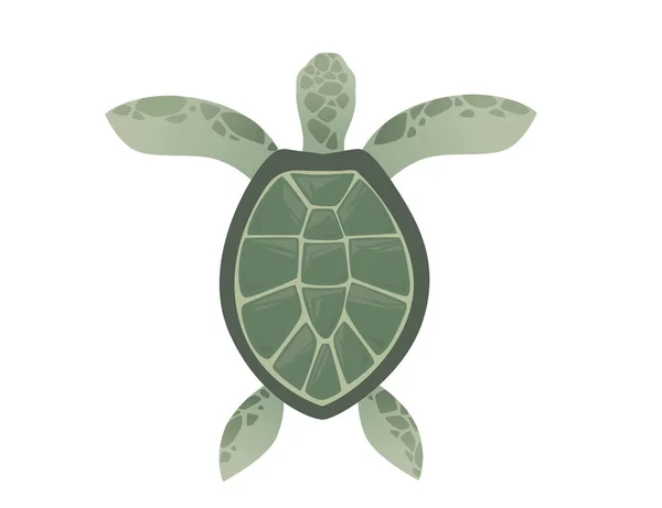 Duży Zielony Żółw Morski Kreskówka Cute Zwierząt Projekt Ocean Żółw — Wektor stockowy