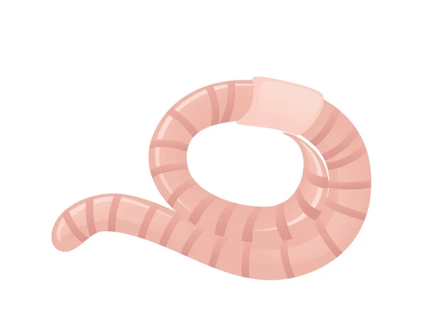 Earthworm Kruipen Cartoon Worm Ontwerp Platte Vector Illustratie Geïsoleerd Witte — Stockvector