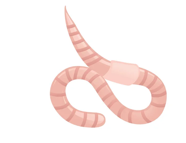 Earthworm Kruipen Cartoon Worm Ontwerp Platte Vector Illustratie Geïsoleerd Witte — Stockvector