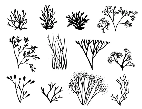 Set of black colored seaweeds silhouette underwater ocean plants sea coral elements flat vector illustration on white background — Stock Vector