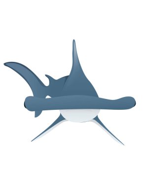 Çekiç başlı su altı dev hayvan basit çizgi film karakteri tasarımı beyaz arka planda izole edilmiş düz vektör çizimi.