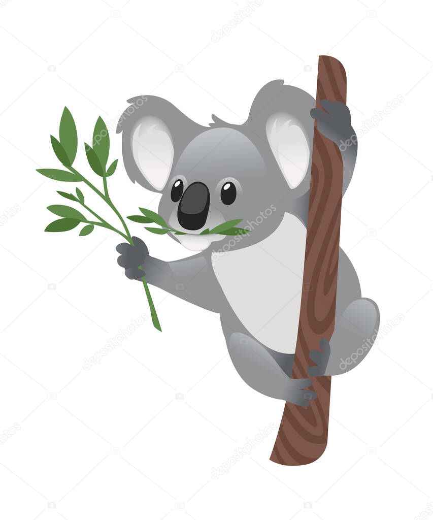 Cute grey koala bear sit on wood branch and eating green leaves cartoon animal design flat vector illustration isolated on white background.