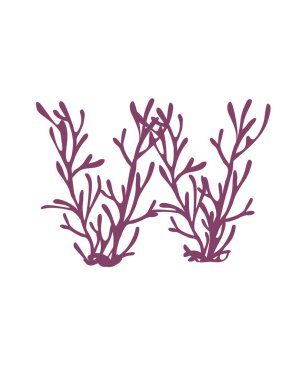 W harfi mor renkli deniz yosunları sualtı okyanus bitkisi deniz mercan elementleri beyaz arka planda düz vektör çizimi.