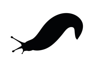 Siyah siluet sümüklü böcek çizgi film hayvan tasarımı düz vektör çizimi beyaz arka planda izole