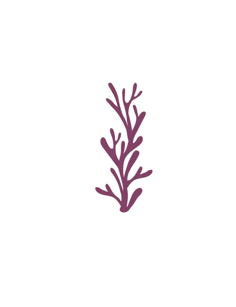字母I紫色海藻水下海洋植物海珊瑚元素平面矢量白色背景图解 — 图库矢量图片