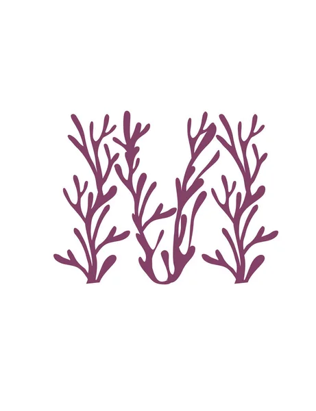 字母M紫色海藻水下海洋植物海珊瑚元素平面矢量白底图解 — 图库矢量图片