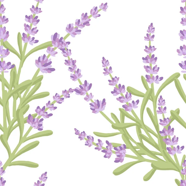 Nahtloses Muster Mit Lavendelblüten Sommer Kräuter Natürlichen Strauß Flache Vektor — Stockvektor