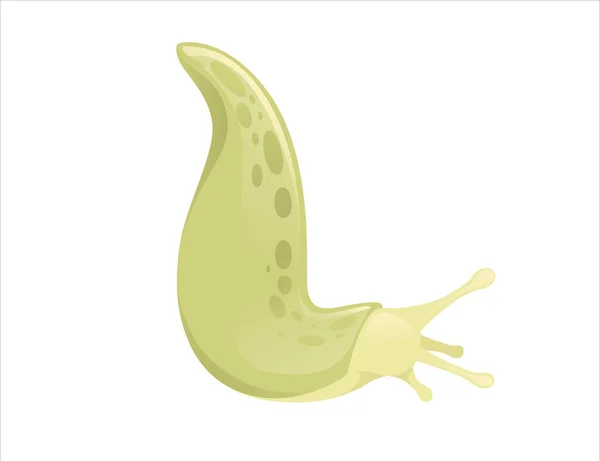 Zielony ślimak kreskówka zwierząt projekt płaski wektor ilustracja izolowane na białym tle — Wektor stockowy