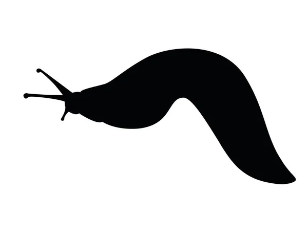 Černá silueta slimák kreslené zvíře design plochý vektor ilustrace izolované na bílém pozadí — Stockový vektor