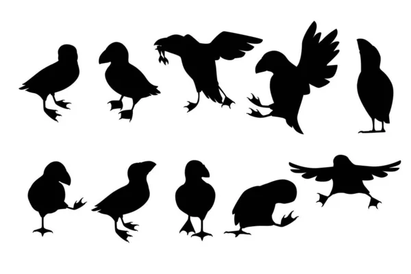 Nero Silhouette Set Atlantica Puffin Uccello Diverse Pose Cartone Animato — Vettoriale Stock