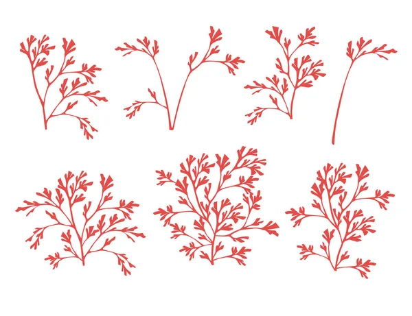 Conjunto Silhuetas Algas Coral Vermelho Ilustração Vetorial Plana Isolado Fundo — Vetor de Stock