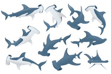 Çekiç başlı köpekbalığı seti. Su altı dev hayvan basit çizgi film karakteri tasarımı. Beyaz arka planda izole edilmiş düz vektör çizimi..