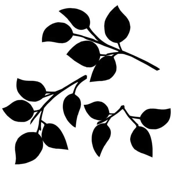 Schwarze Silhouette Satz Von Blättern Auf Ästen Flache Vektorillustration Isoliert — Stockvektor