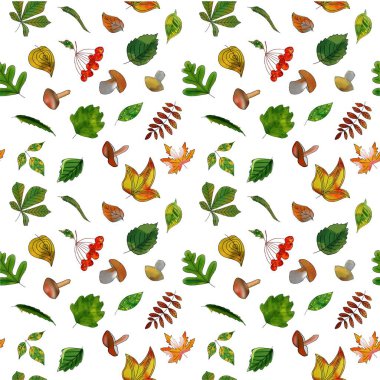 Sonbahar yapraklarının kusursuz deseni.