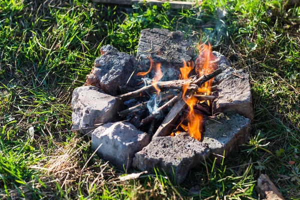 Bonfire in the spring forest. — Stock Photo, Image