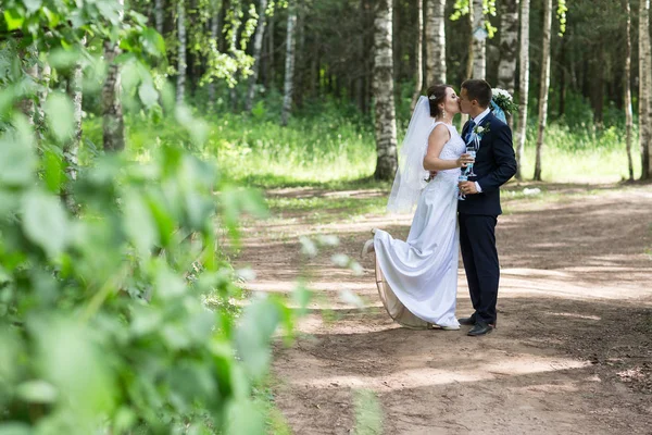 Noiva e noivo comemorando o casamento — Fotografia de Stock