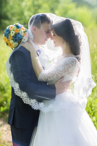 Noiva e noivo comemorando o casamento — Fotografia de Stock