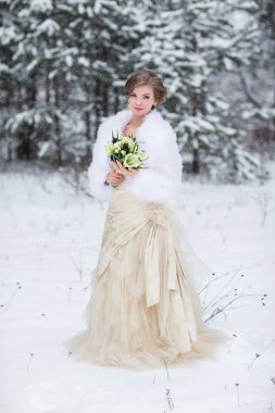 Kış güzel gelin