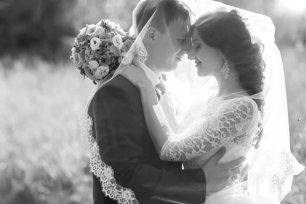 Bride and groom celebrating wedding — Stock Photo, Image