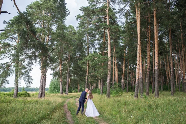 Encantador casal de casamento — Fotografia de Stock