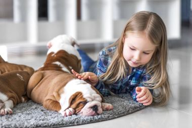 Küçük bir kız ve bulldog sevimli yavru arasındaki dostluk