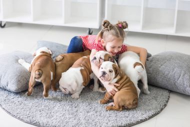 Kukla bulldog zemin ve alır bakım oturan küçük kız
