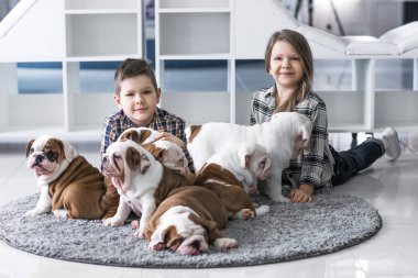 Çocuk ve bulldog sevimli yavru arasındaki dostluk