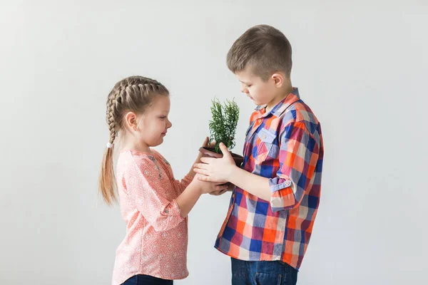 Cute kids boy and girl holding young plant in a pot Royalty Free Stock Images