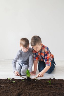 İki erkek bitkiler Dünya günü için atılır