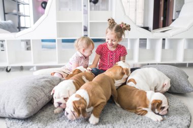 halı üzerinde oturan ve kukla bulldog ile oynayan sevimli kız