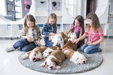 Kız kardeşleri ve kukla odasında, insan ve köpek arasındaki dostluğun katta