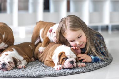 Küçük bir kız ve bulldog sevimli yavru arasındaki dostluk