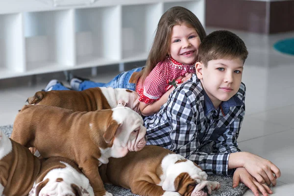 Portrait of a brother and sister with cute puppies on the carpet — Stock Photo, Image