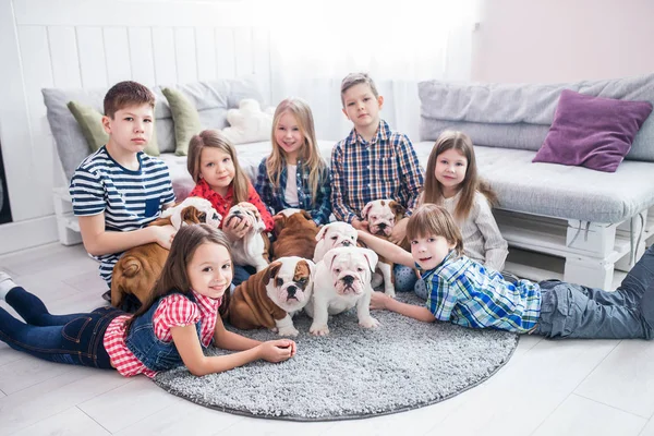 Cute kids lying on the floor with the puppies English bulldog — Stock Photo, Image