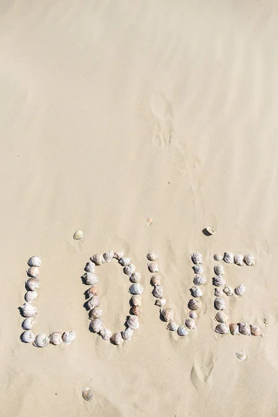 Word love written on the sand with sea shells at sunset on the beach