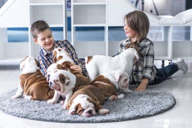 İngilizce bulldog ve Kullan kukla ile yerde yatarken kardeş