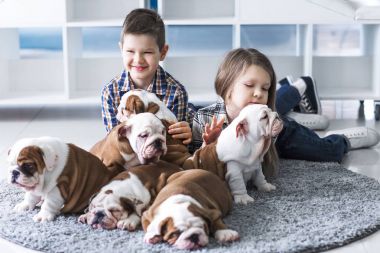 Çocuk ve bulldog sevimli yavru arasındaki dostluk