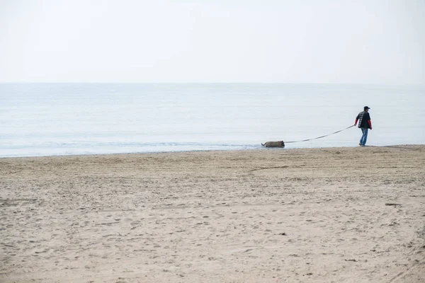 Młody człowiek z jego pies chodzić na plaży — Zdjęcie stockowe