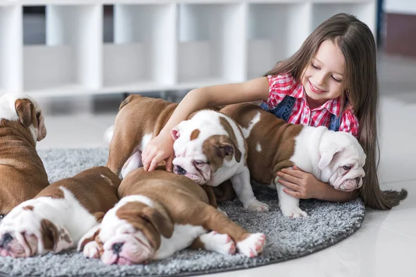 Cute beautiful little girl playing with puppies of English bulldog — Stock Photo, Image