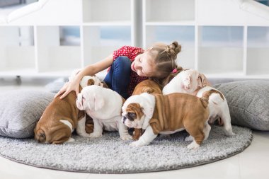 Küçük bir kız ve İngilizce bulldog, şirin yavru arasındaki dostluk
