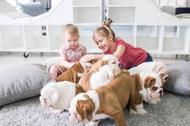 Çocuklar ve kukla İngilizce bulldog arasındaki dostluk
