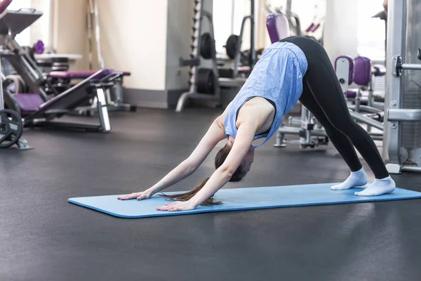 Tânăra femeie atractivă care practică yoga, stând în jos cu care se confruntă exercițiile pentru câini — Fotografie, imagine de stoc