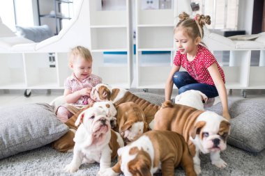 Kızlar kız kukla İngilizce bulldog dikkat