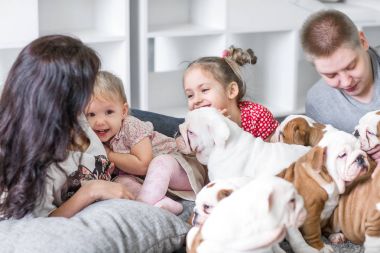 Dostluk ve köpek bağlılık adam kavramı